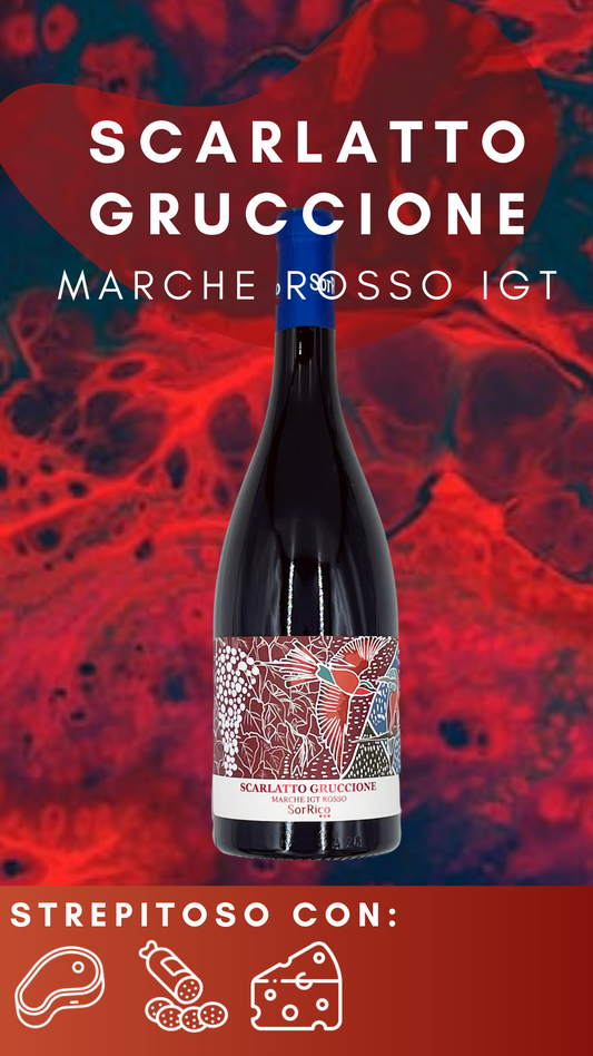 Scarlatto Gruccione